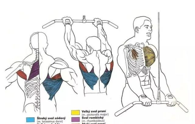 3。哑铃侧平举+前平举