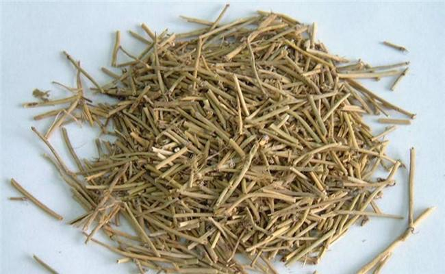 功效特殊的中药麻黄