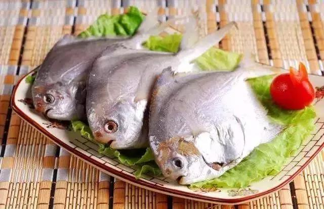 最美味的十大海鱼,你不可能全都吃过!