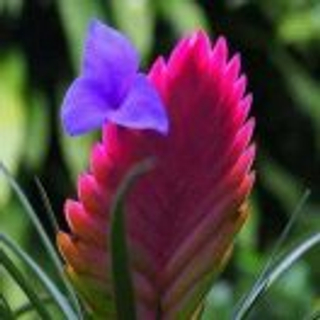 琦色和你有缘希希