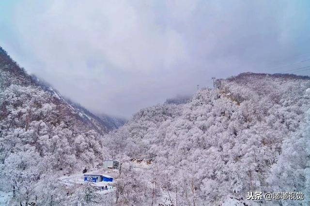 太白山迎来大雪，到处是一片银装素裹的景象_新浪新闻