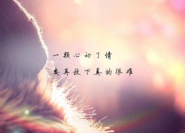 最扎心的个性签名,伤感走心,直击心底最深处