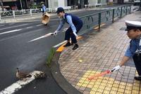 蒋丰:一天不学都跟不上社会的日本警察