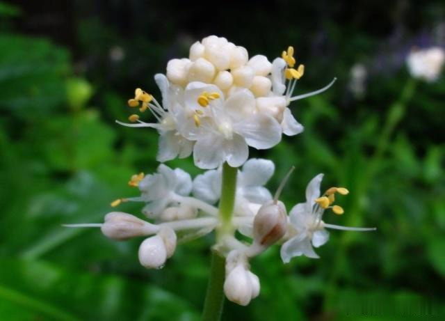 “蘅芜苑”四层深意,你认为哪一种更符合薛宝钗?!