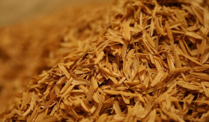 这种稻壳虫怎么杀死它?