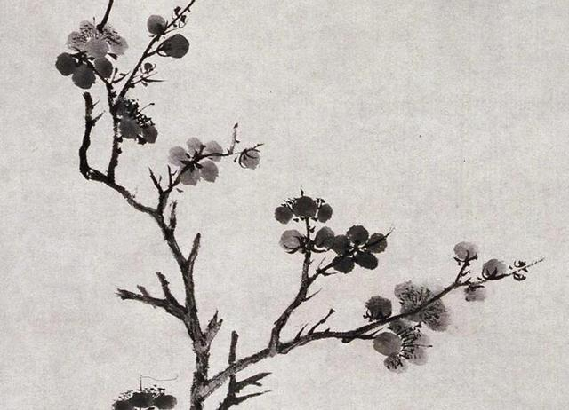 明,唐寅《墨梅图》(北京故宫博物院藏)_新浪新闻