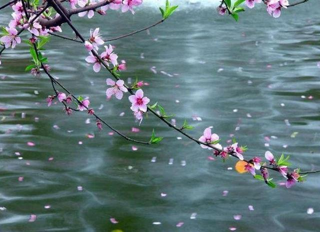 10首最美《渔歌子》浪花有意千重雪,桃李无言一队春