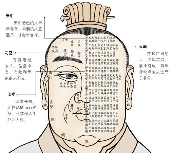 面部有流年吉凶:三停、十三、百位图部位流年面相运势