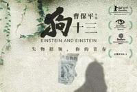 《狗十三》,被封五年的国产禁片终于出现了