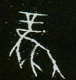 「书品汉字」高天晨:“风” 在书法中的写法流变|隶书|小篆|楷书|字形_新浪新闻