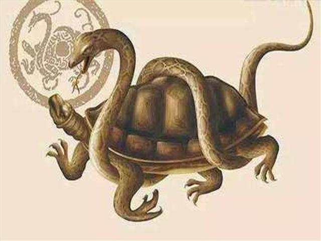 古代人在挖井时，为何要放一只乌龟？