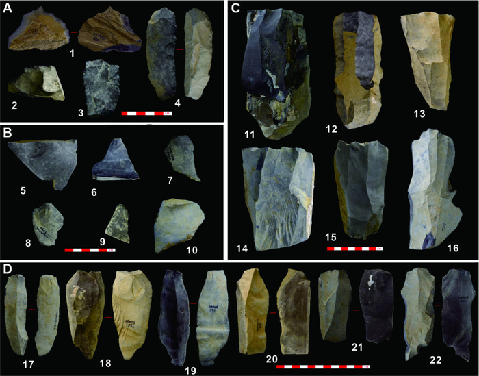 尼阿底石器组合
