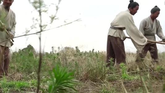 古代农民没有土地为什么不自己开荒|畜力|野岭|嫁衣|妇孺|荒山_新浪新闻