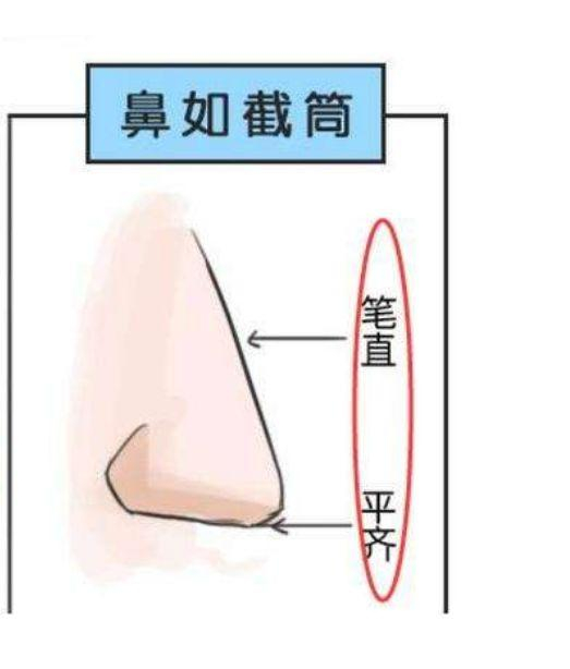 面相学:成功人士必有的几种富贵鼻,你的是哪一种呢?|_新浪新闻