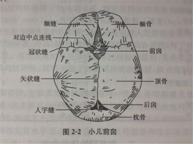 育儿说：9个月的孩子囟门快合上了正常吗？别不在意|囟门|育儿|宝宝|顶骨|发育_新浪新闻