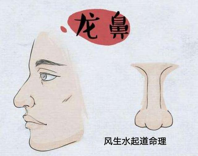 面相—鼻子是装钱的口袋