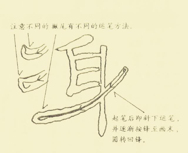 隶书基本笔法解析，要掌握这11张图