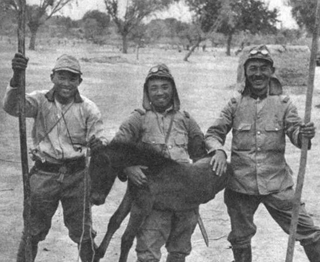 近代历史上侵略中国的国家,日本残暴无道|圆明园_新浪新闻