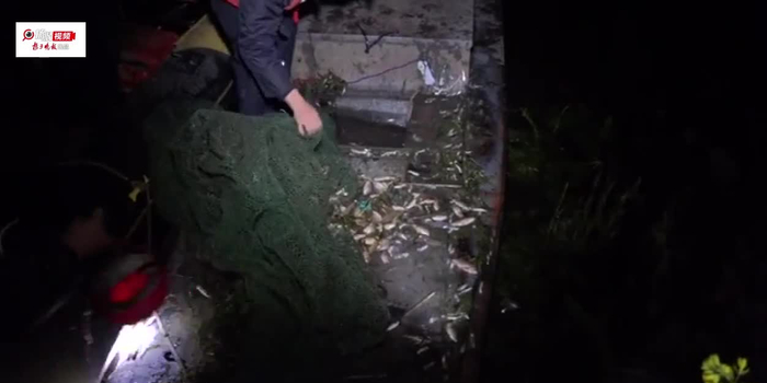 【视频】兄弟俩深夜电捕鱼 射阳渔政巡查逮现