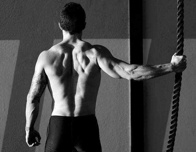 动作三、俯身杠铃划船