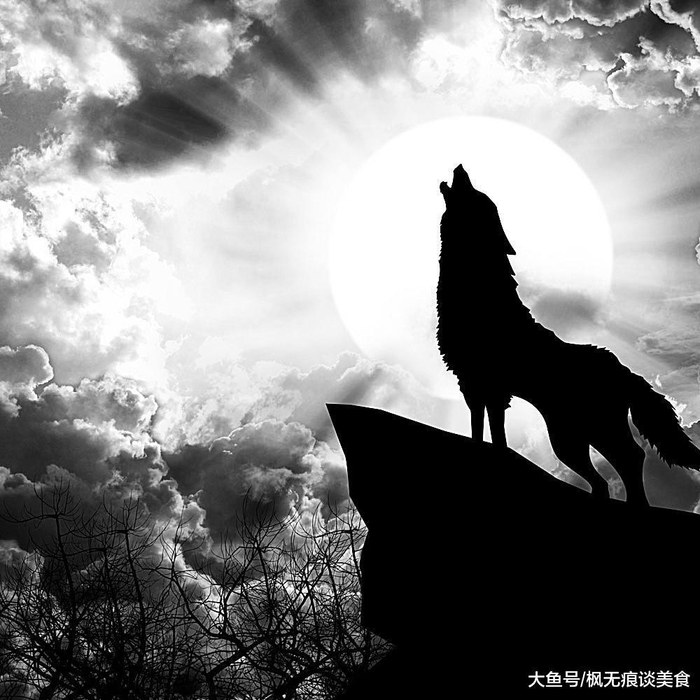 seo公司怎样找客户推广工具