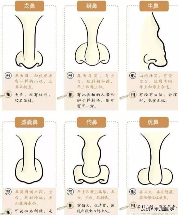 详解面相学鼻子的相法要点|性格|财运_新浪新闻