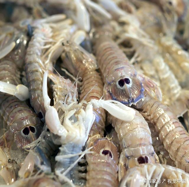 虾爬子蒸好还是煮好？虾爬子哪些人不宜吃？