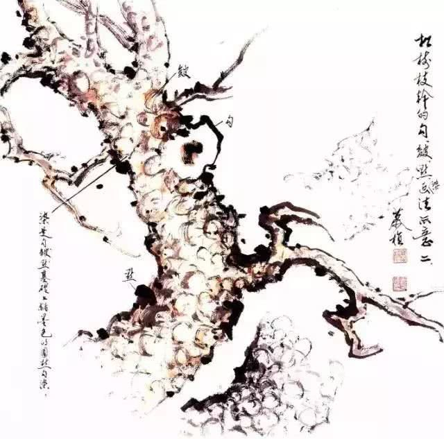 写意花鸟画技法之松柏的画法_新浪新闻