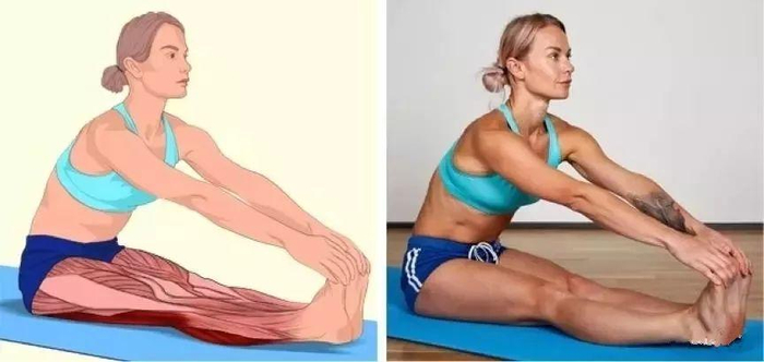 所涉及的肌肉：