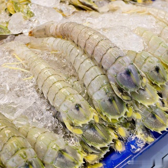 虾爬子蒸好还是煮好？虾爬子哪些人不宜吃？