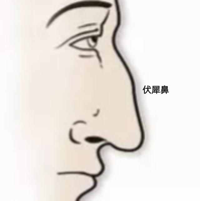 面相—鼻子是装钱的口袋