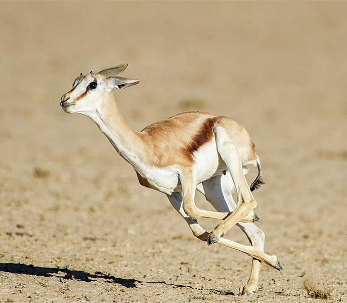 火箭最快速度是多少 目前速度最快的火箭是什么