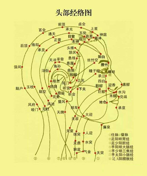 胆经和肝经怎么区别？ 了解了相关疾病全解决
