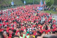 继三亚之后,东北人纷纷涌入这座城怎么办?
