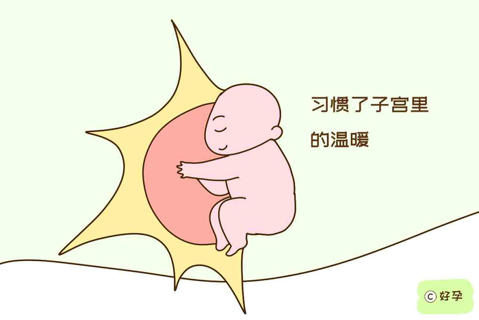 宝宝出生前，习惯了子宫里的温暖