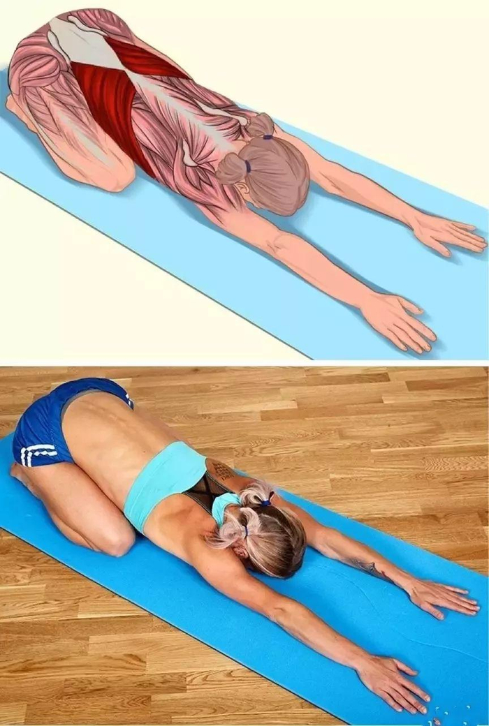 所涉及的肌肉：背部肌肉