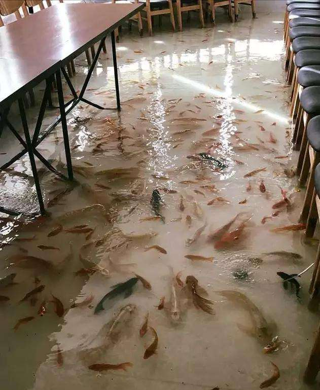 日本有一家“独特