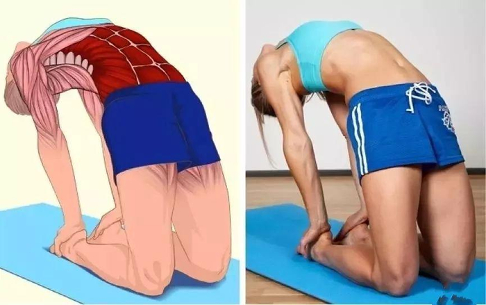 涉及的肌肉：腹直肌和腹外斜肌