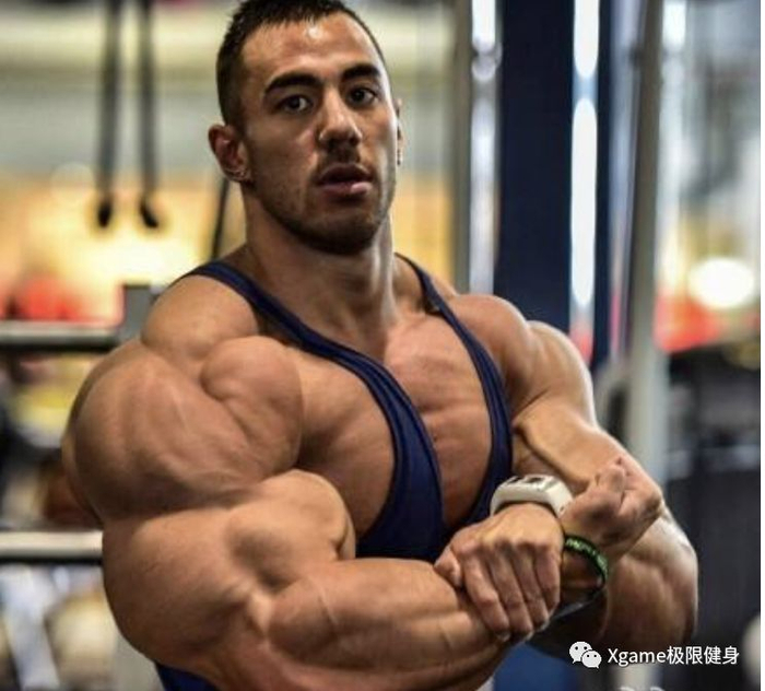 这些计划都是最适合新手的