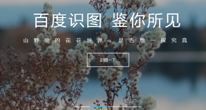 找出处？百度在线识图找GIF动态图出处教程__财经头条__新浪财经
