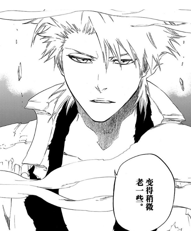 死神:冬狮郎的真卍解,四步之内任何元素都将被冰冻!