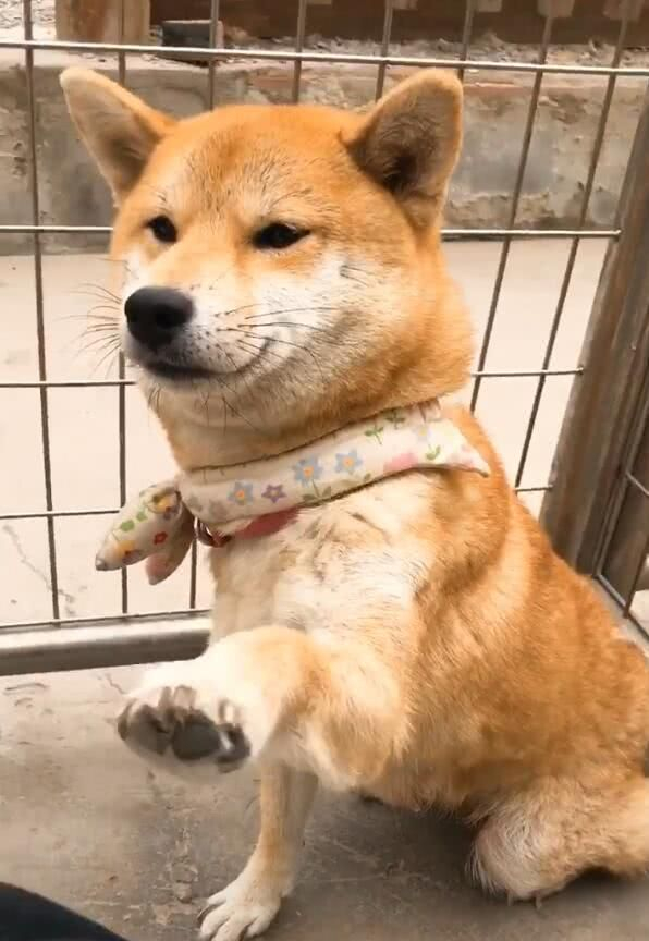 SEO优化具体是做什么的 给一个公司网站做SEO该从哪里下手 企业为什么要做品牌SEO优化