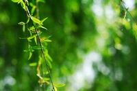 方寸:如果球员考虑到放铲可能伤害到对手,怎么办