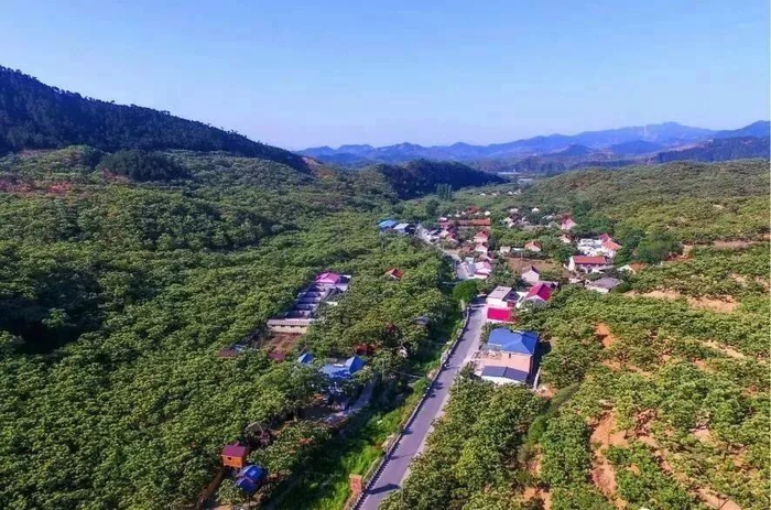 汉儿庄乡政府:引领乡村治理新时代
