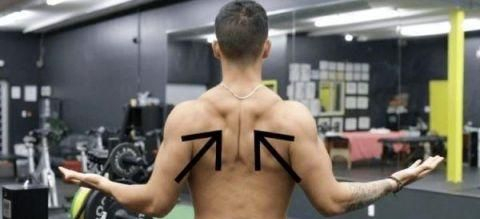 你在该动作中感受到的感觉就是你需要在卧推中所做到的。