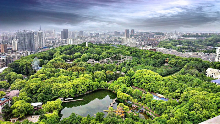 摄影技巧丨景别是什么?不同景别的表现手法和运用技巧