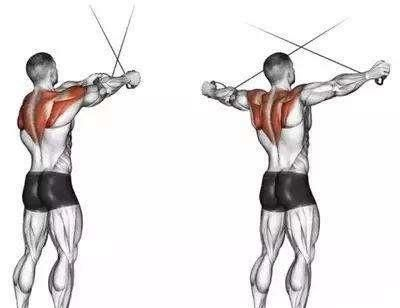 2。拉力器直臂下压