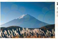 柏青:富士山竟然是日本政府租来的?