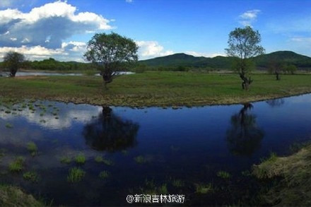 [长白湿地]