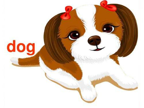 这7组dog有关的英语俚语,你理解对了吗?
